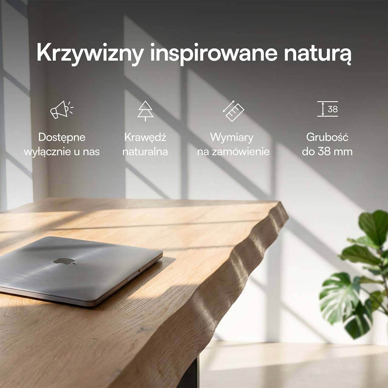 foto62.jpg