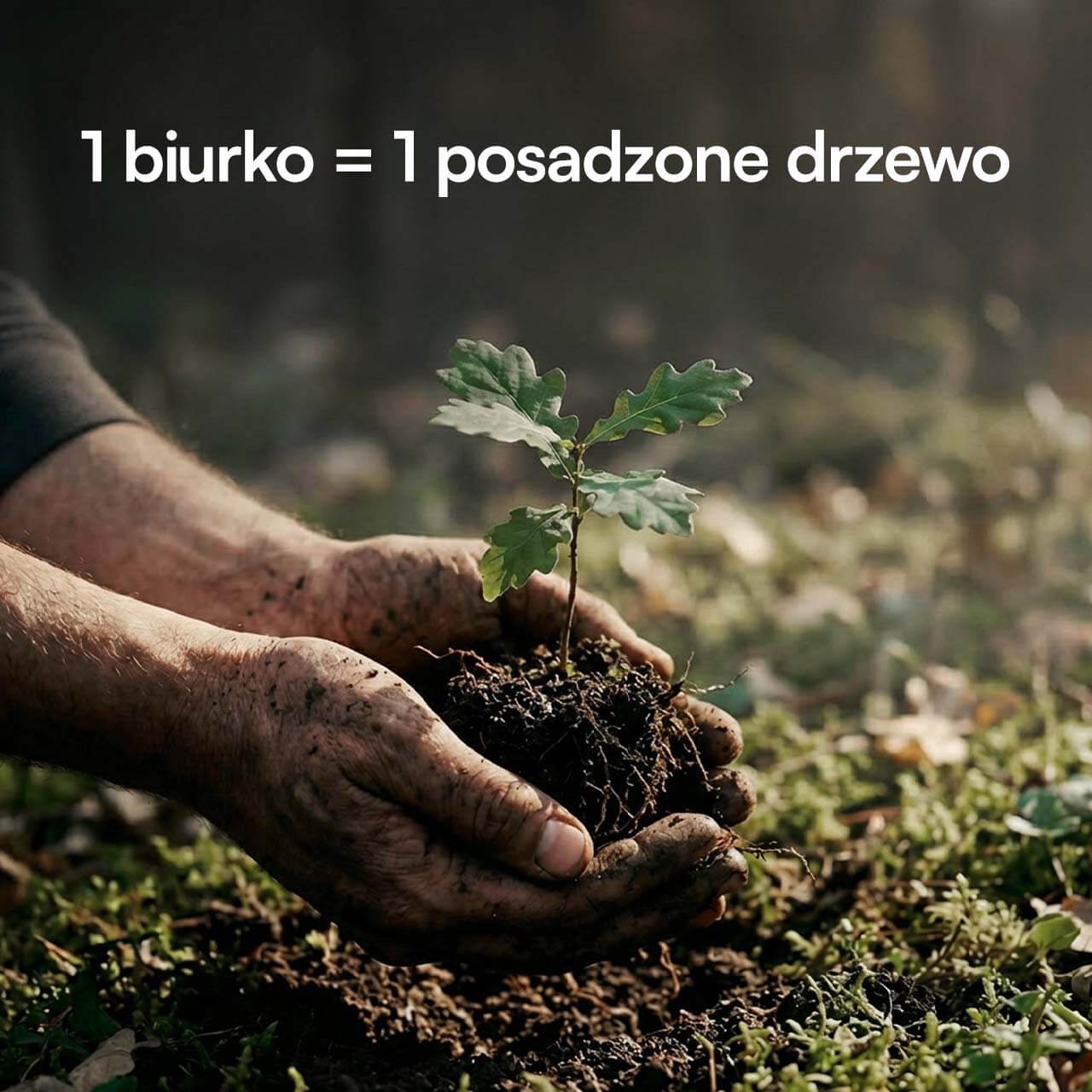 foto58.jpg