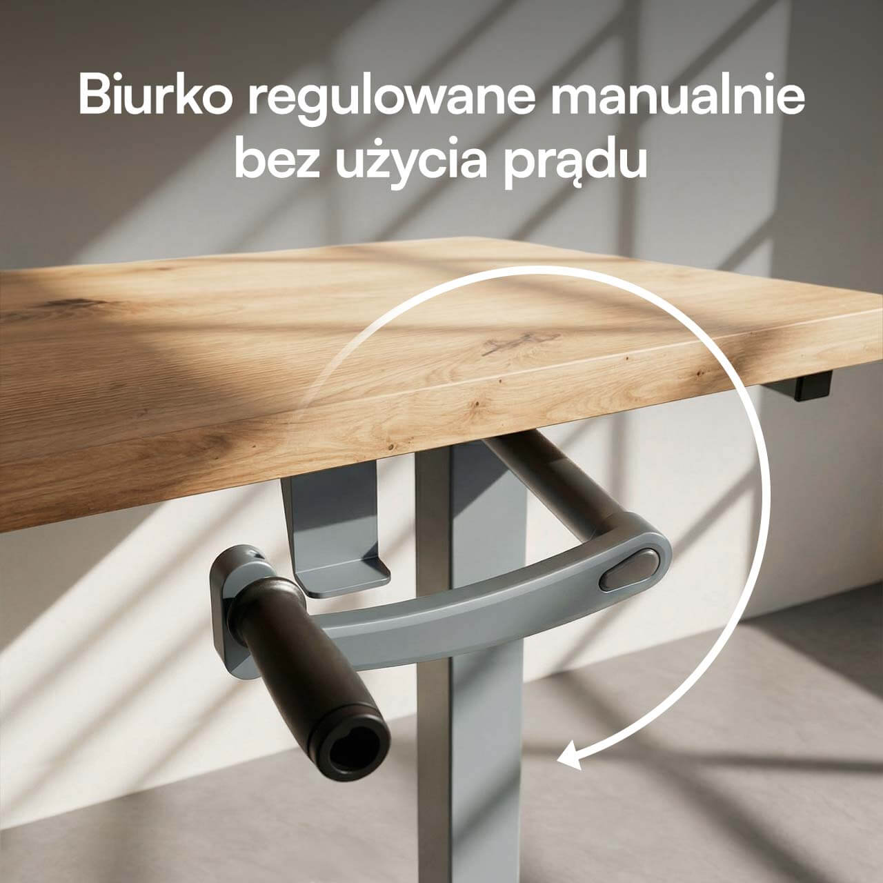 foto50.jpg