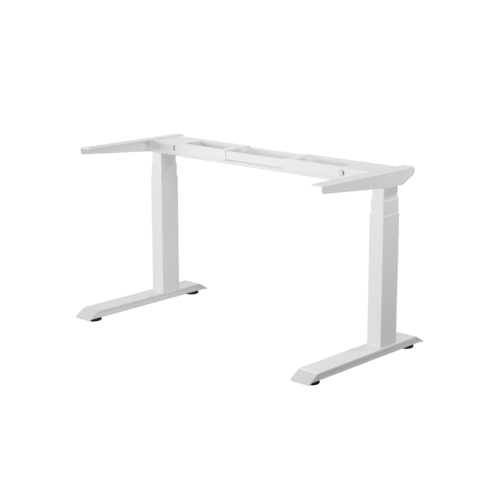 foto50.png
